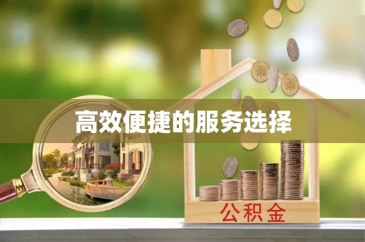 临澧高效便捷的服务选择