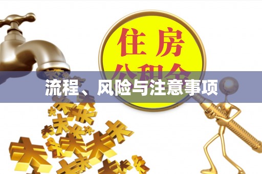 临澧流程、风险与注意事项