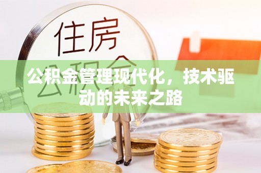 临澧公积金管理现代化，技术驱动的未来之路