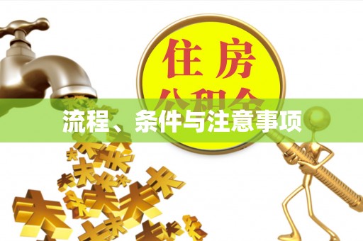 临澧流程、条件与注意事项
